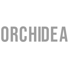 ORCHIDEA